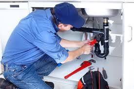 Best Plumbing System Maintenance  in Saddlebrooke, AZ